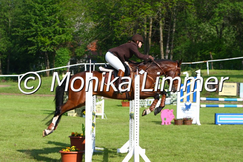 005M3940_Carlos_Springpferde A.JPG